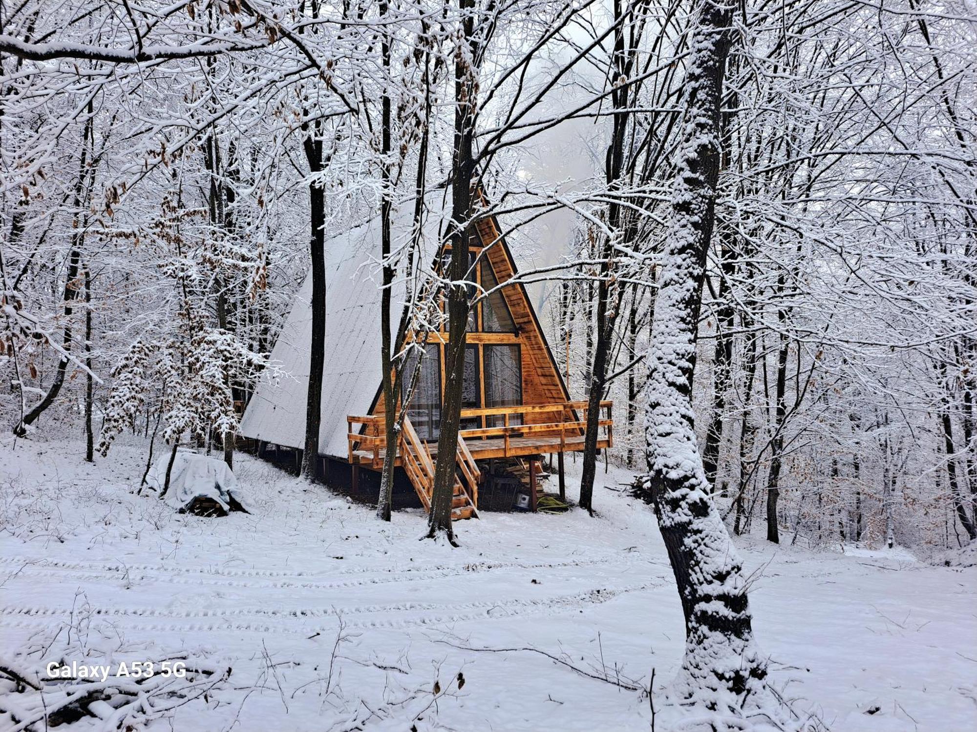 Cabanaaframe Curtea De Arges Exterior photo